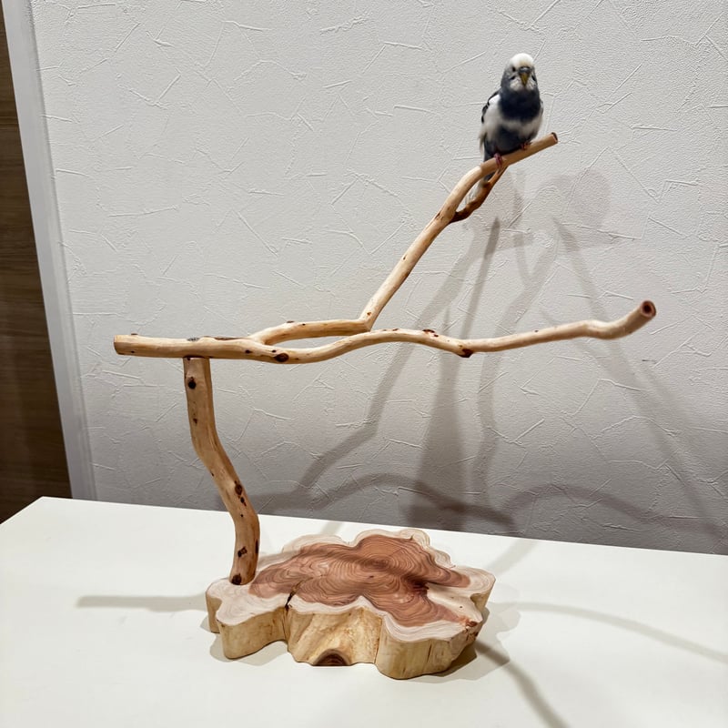貝塚伊吹のスタンドパーチ 【自然木 とまり木 】 | 自然木の鳥用品 鳥