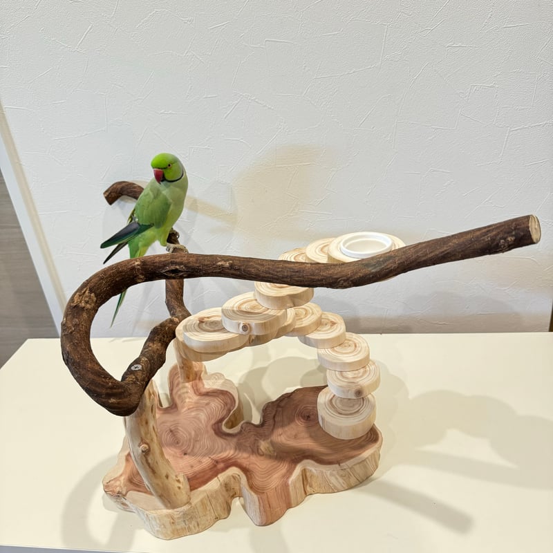 自然木（ツタ）と螺旋階段のバードアスレチック【インコのおもちゃ