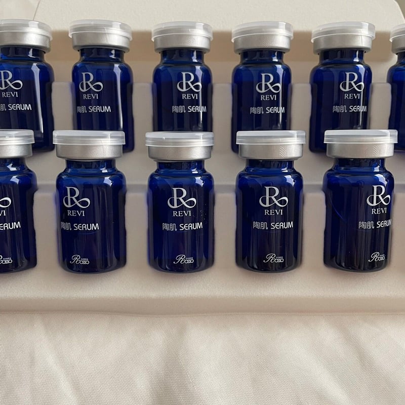 REVIスプレーガンセット | A.reflet STORE