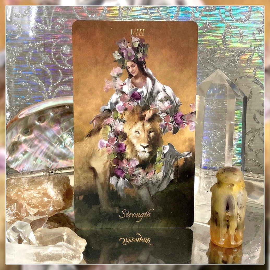 予約商品】Baroque Gold Foil Tarot Deck【タロットカード】 | m