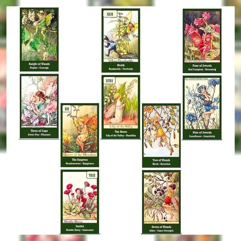 予約商品】Flower Fairies Tarot Deck【タロットカード】 | muse