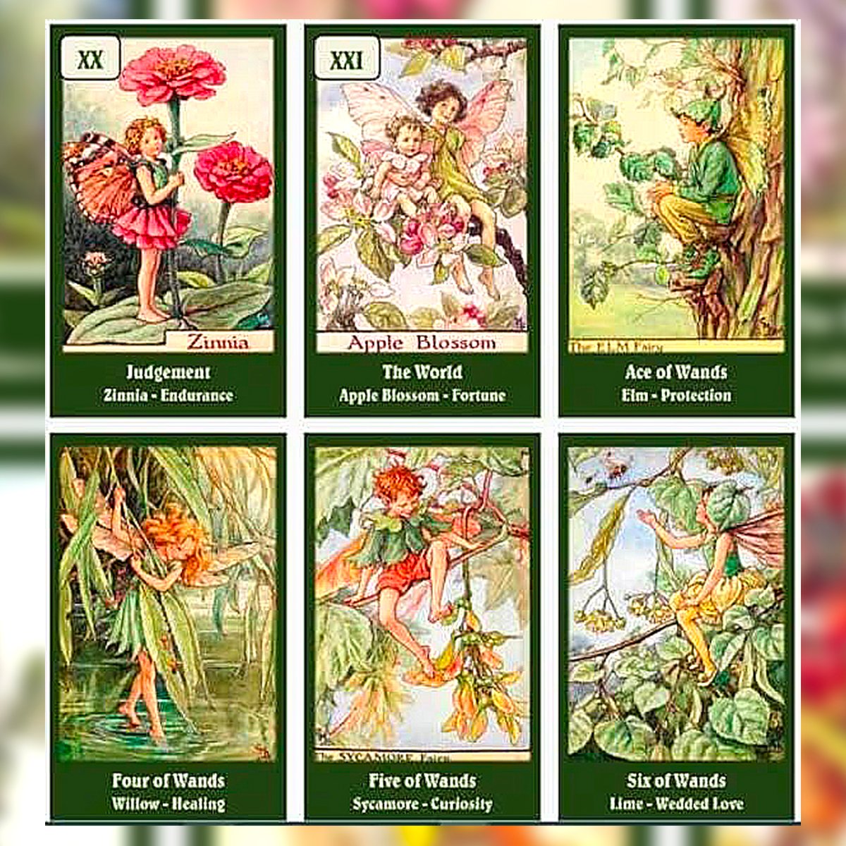 予約商品】Flower Fairies Tarot Deck【タロットカード】 | muse
