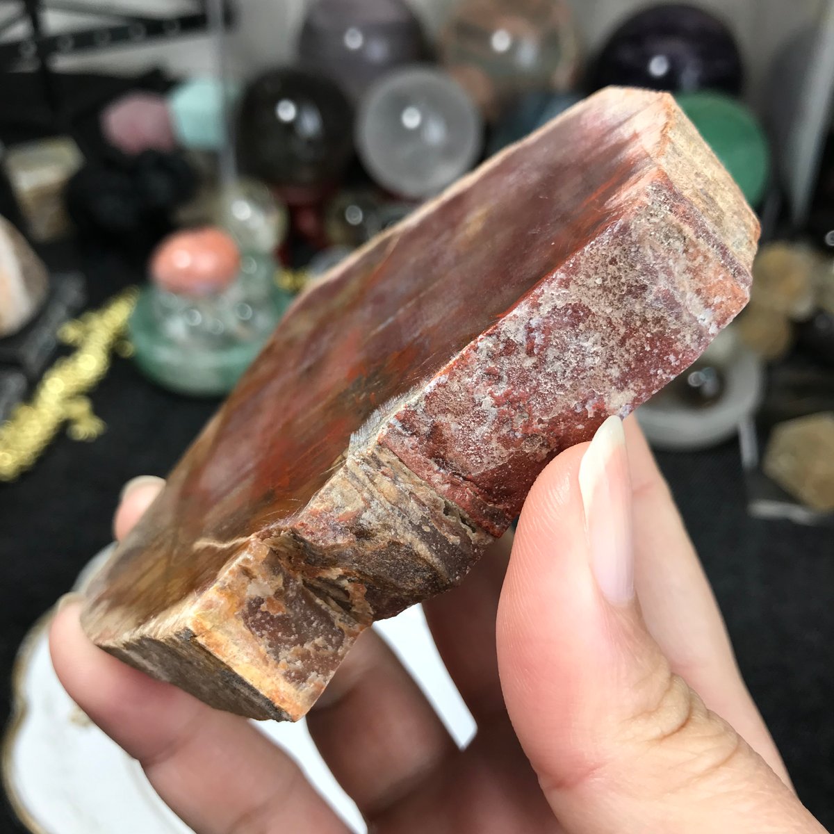 ペトリファイドウッド 珪化木【木の化石】スライド ブラジル産 92x 64x