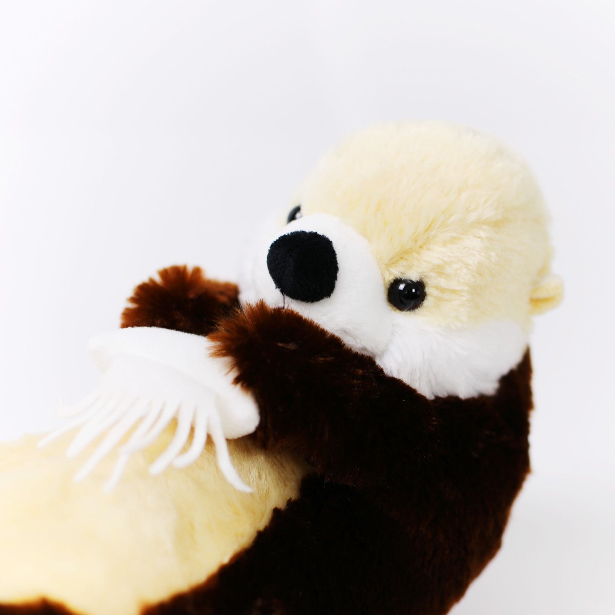 doudouともだちラッコ | すいそう