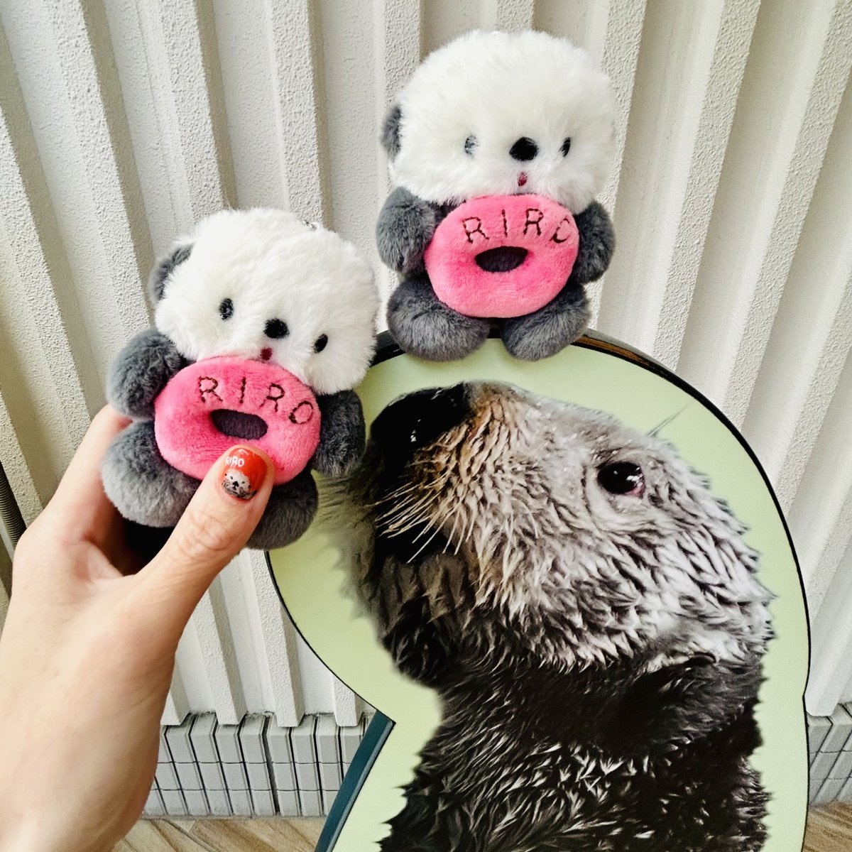 マリンワールド×にこやまポッケ】ずっと一緒 リロくんマスコット