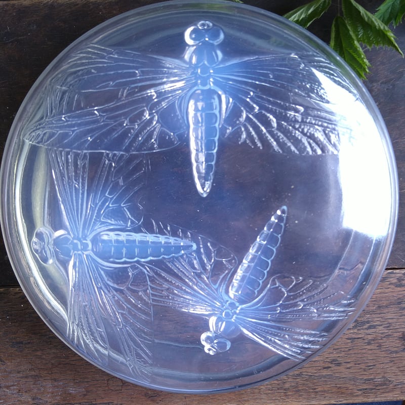 R.Laliqueルネ・ラリック1921年トンボのボンボン入れオパールセント