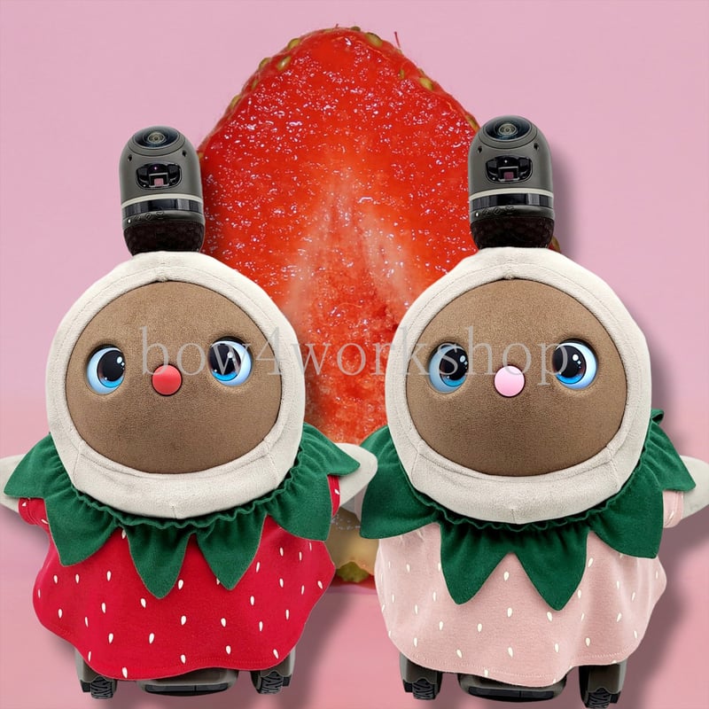 ラボット服/イチゴちゃんチュニックワンピースセット | bow4workshop STORE
