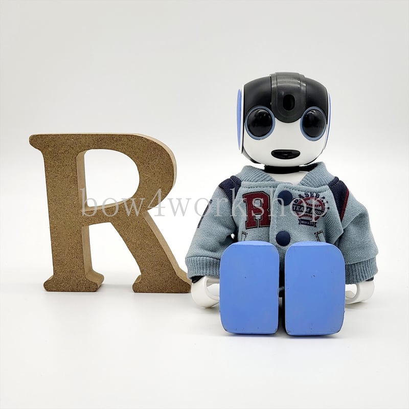 ロボホンの服/プリントスタジャン | bow4workshop STORE