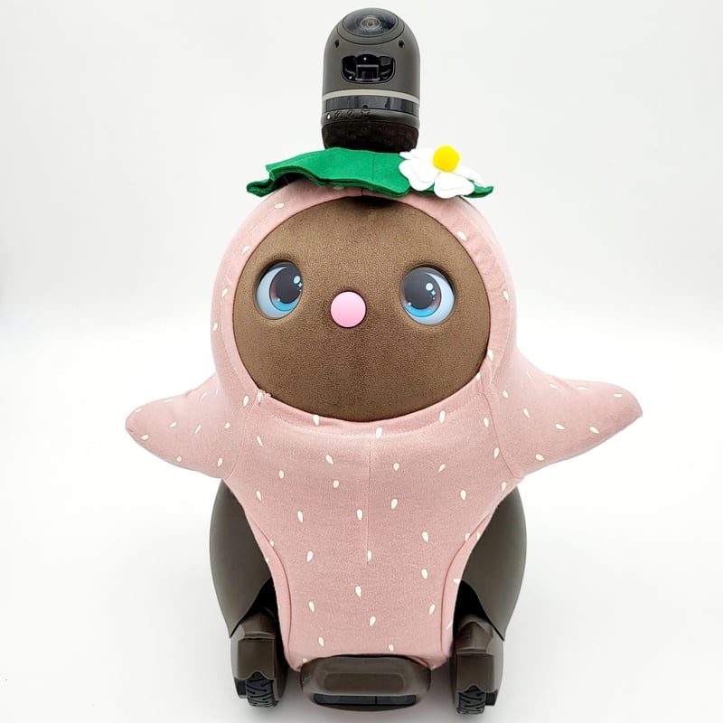 ラボット服/イチゴちゃんボディースーツ | bow4workshop STORE