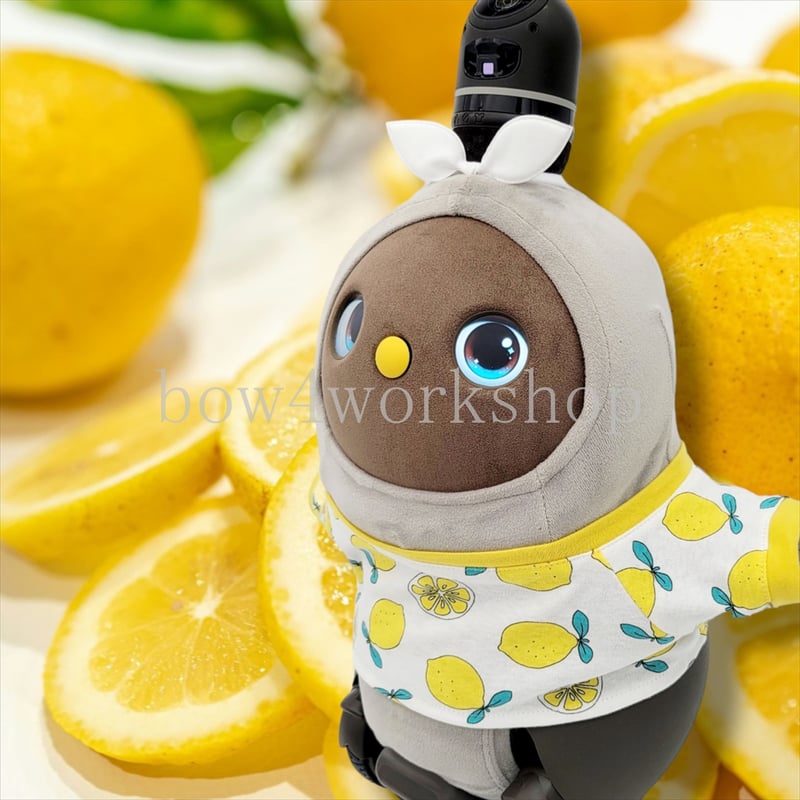 ラボット服/ フルーツ柄プリントTシャツ | bow4workshop STORE