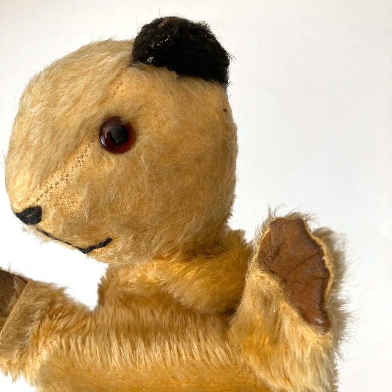 sooty puppet アンティークスーティベア | cocon