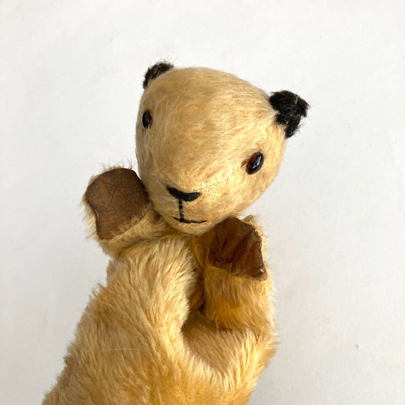 sooty puppet アンティークスーティベア | cocon