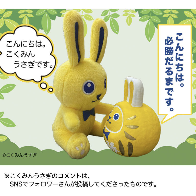 必勝だるま | Go!Go!こくみんストア