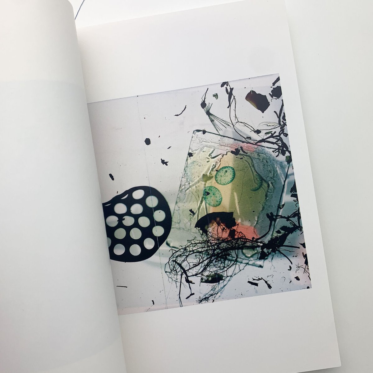 ジュン OUTSIDE IN スティーブン・ギル アートブック ジュン OUTSIDE