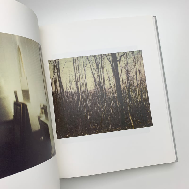 サイ・トゥオンブリーの写真 変奏のリリシズム | 玄玄書林