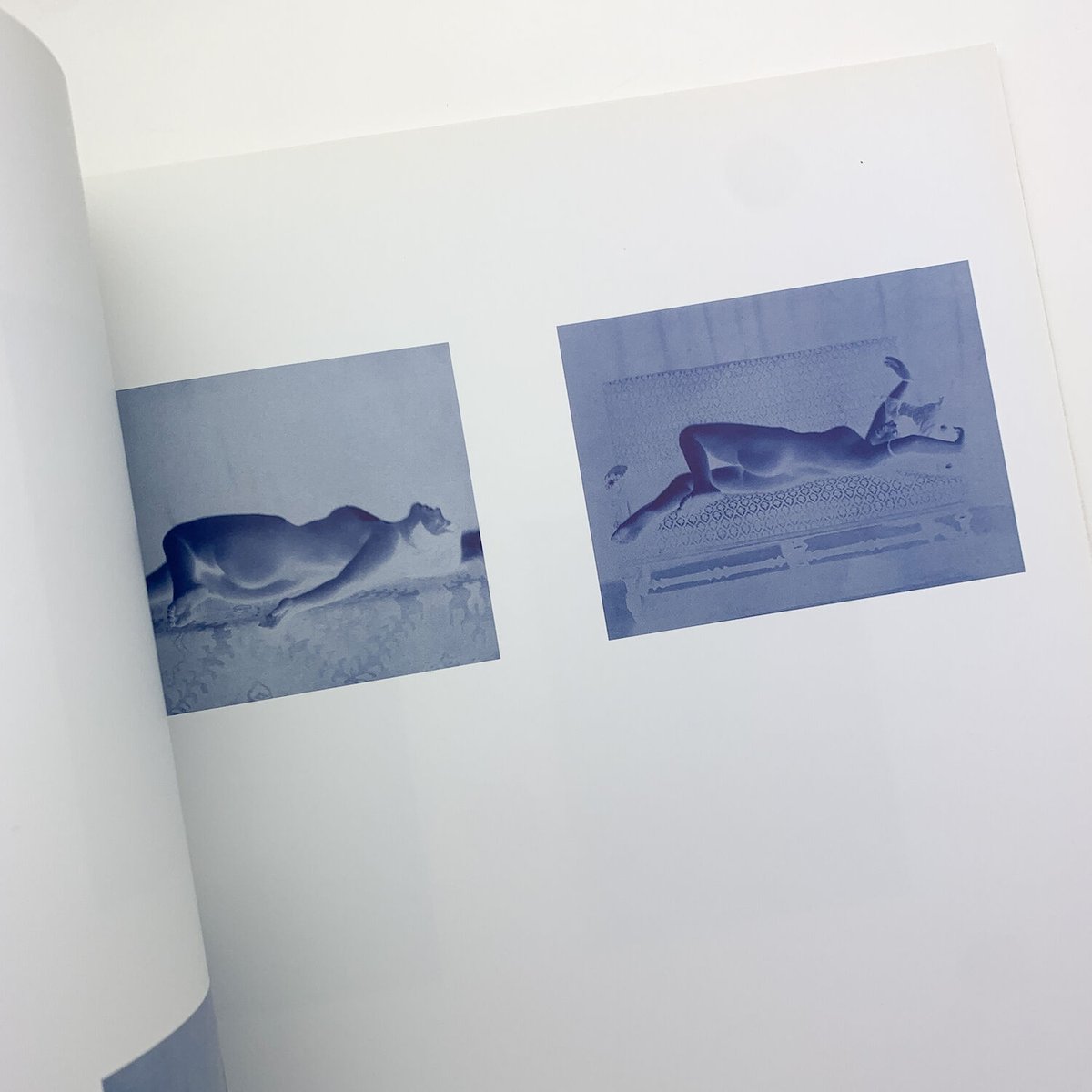 Photograms And Negatives｜Thomas Ruff | 玄玄書林