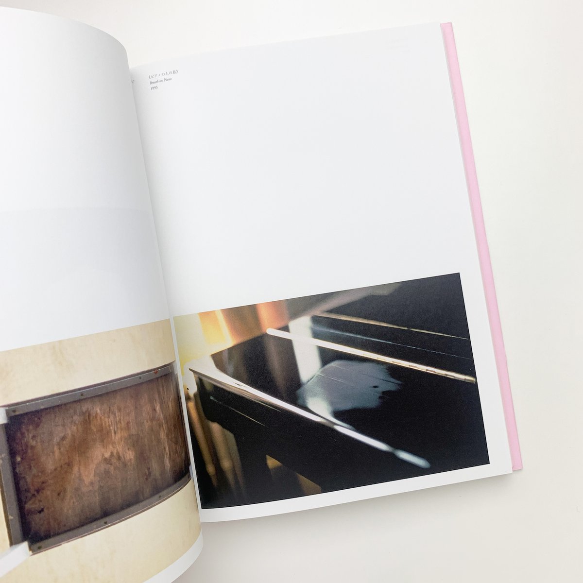 ガブリエル・オロスコ 内なる複数のサイクル | 玄玄書林