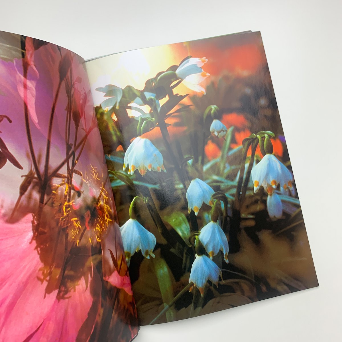 Peter Fischli David Weiss: Musee d'Art Moderne