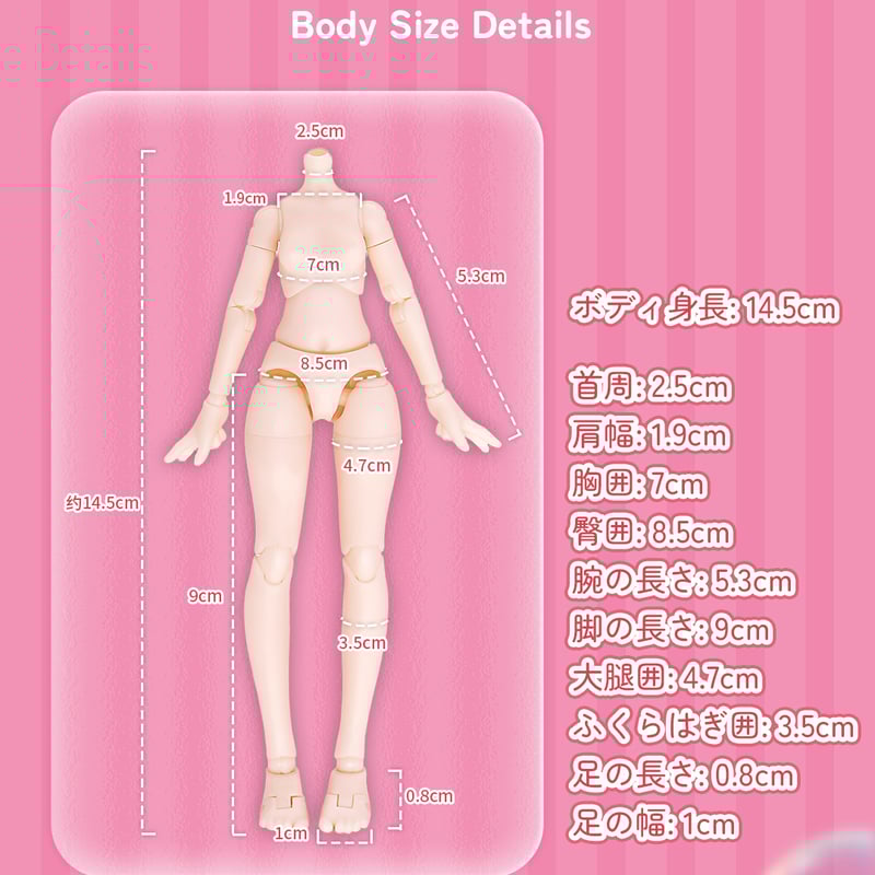 【きらみにょん】 WISHLISTセット 予約販売：2025年12月中旬～1月中旬 お届け予定】<公式限定初回予約