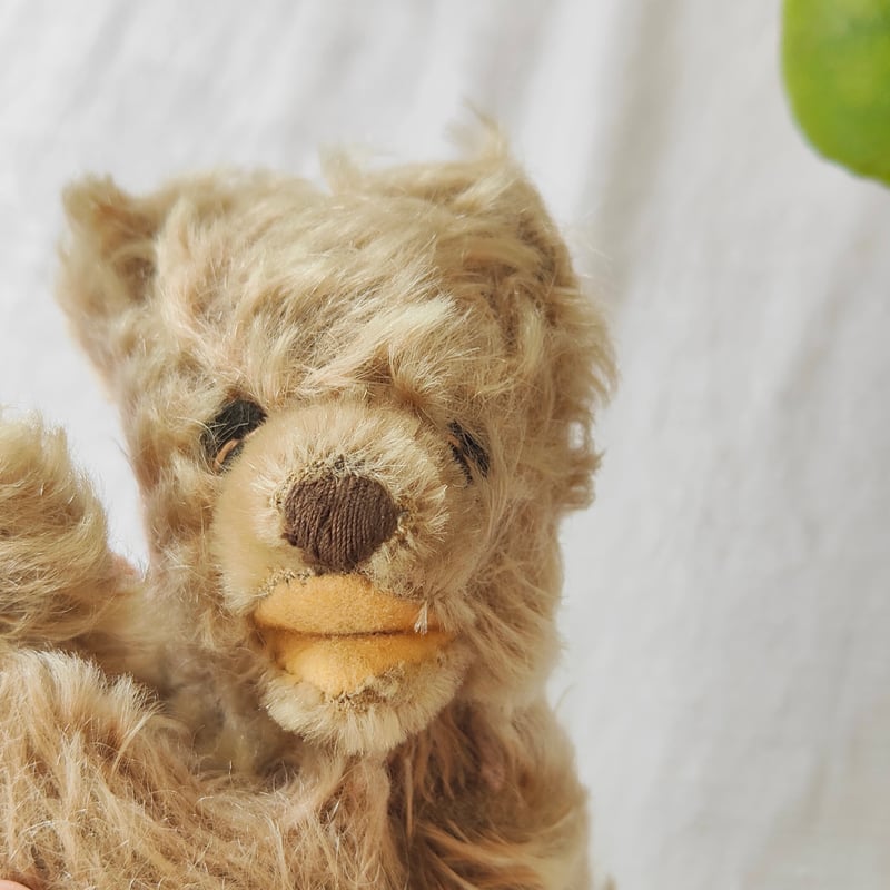 寝るくまさん【Steiff】 | Tabino Okurimono