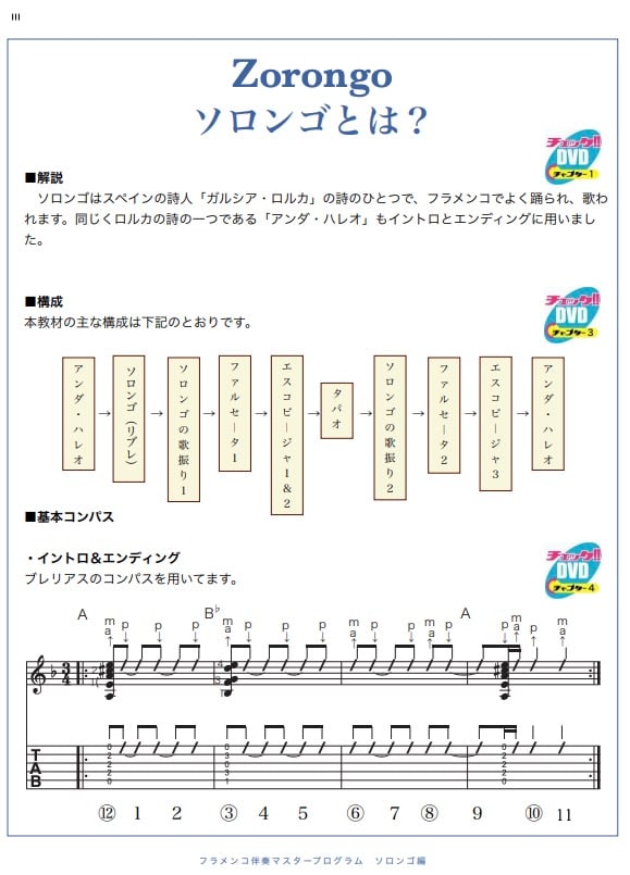 オンライン版】フラメンコ舞踊伴奏マスタープログラムVol.16「ソロンゴ