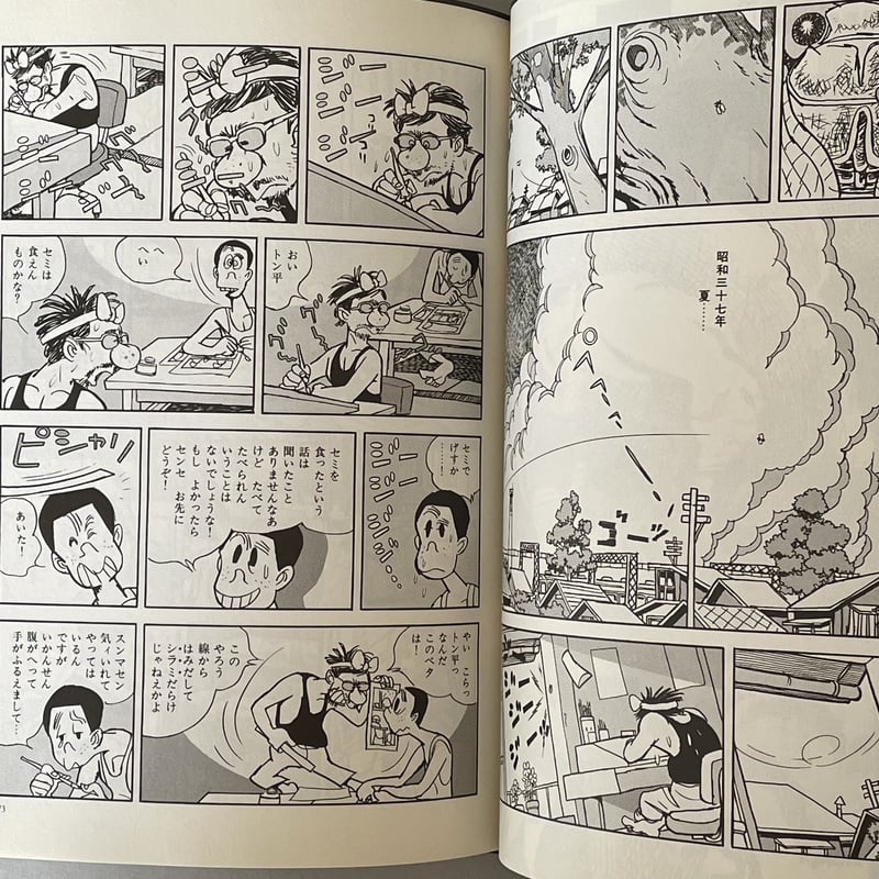 フーテン シリーズ 黄色い涙 青春残酷物語 | tone books