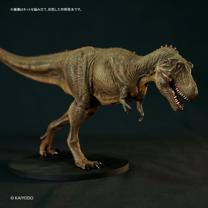 ティラノサウルス(タイプⅡ) | ソフビレガシー