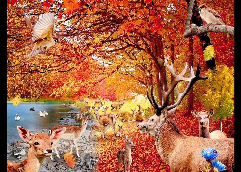 大豊穣恵みの秋」A4/ A3/ A2アートポスター | 絵画インテリアSHOP