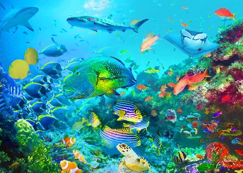 オールブルー」F6号アートキャンバス | 絵画インテリアSHOP『フォト