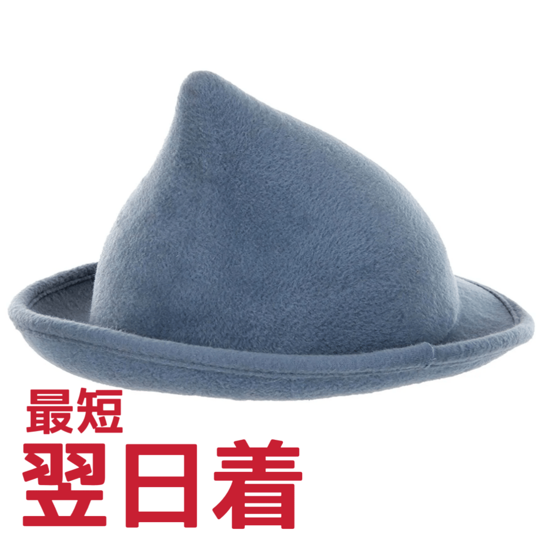 超速達】 ボーバトン魔法アカデミー 帽子 フラー・デラクール ワーナー