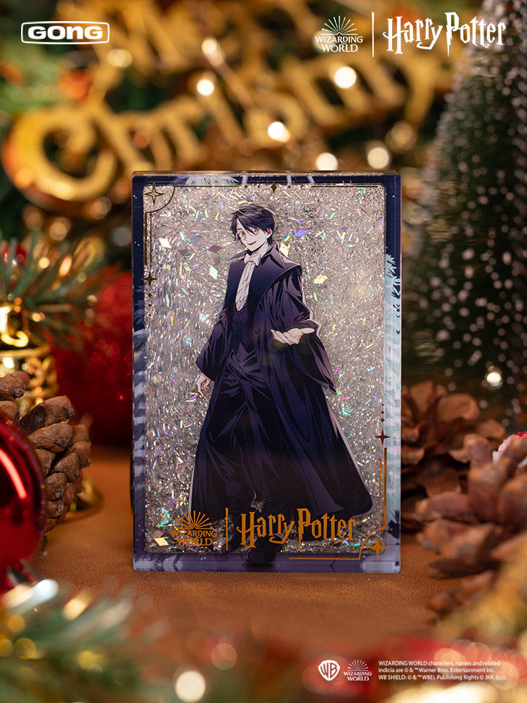 あっくん様 Harry Potter クリスマス マルチカバー ラグ あっくん様
