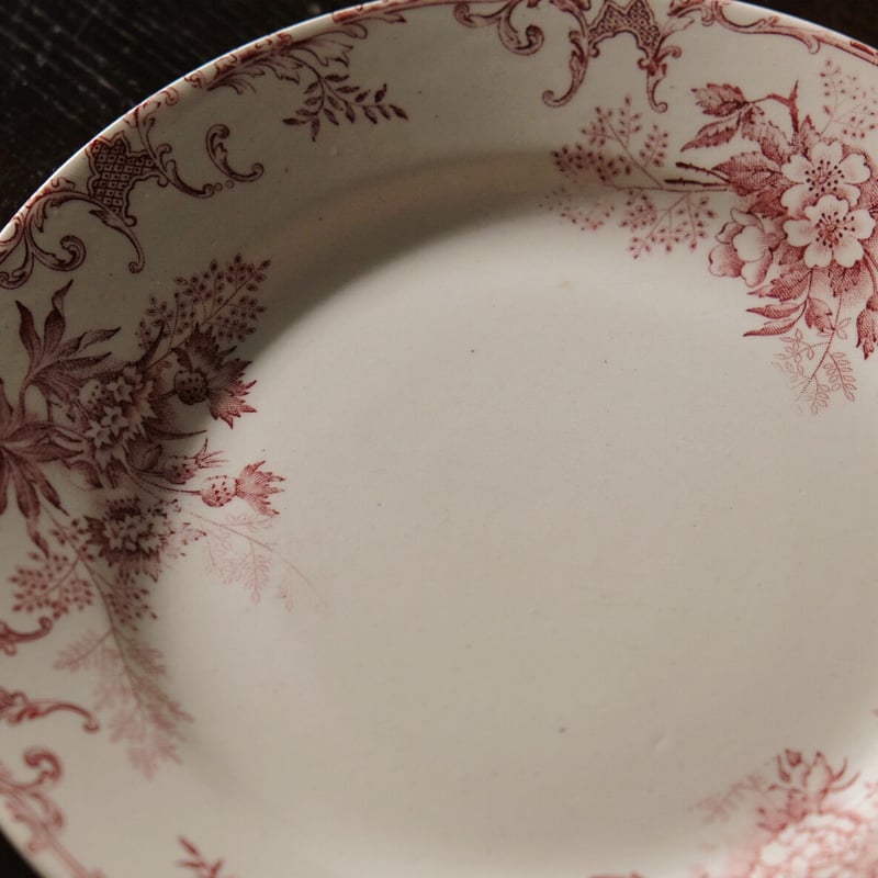 Choisy le roi ショワジールロワ フロレアル 平皿 φ22cm フランス