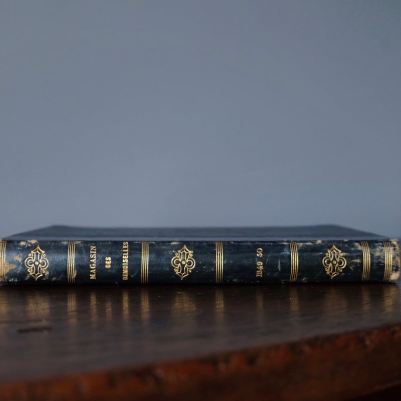 古書 彩色モード版画付 本 Magasin des Demoiselles 1849-50年