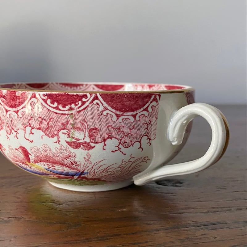 A サルグミンヌ obernai カップ＆ソーサー サルグミンヌ Obernai