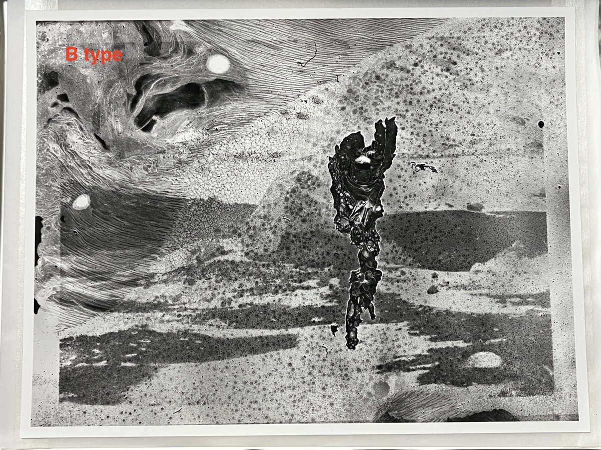 横田大輔Inversion (Arles edition)絶版