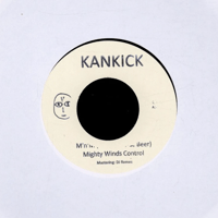 JJJ『JJJ『HIKARI-2LP-』 | Jazzy Sport Music Shop T