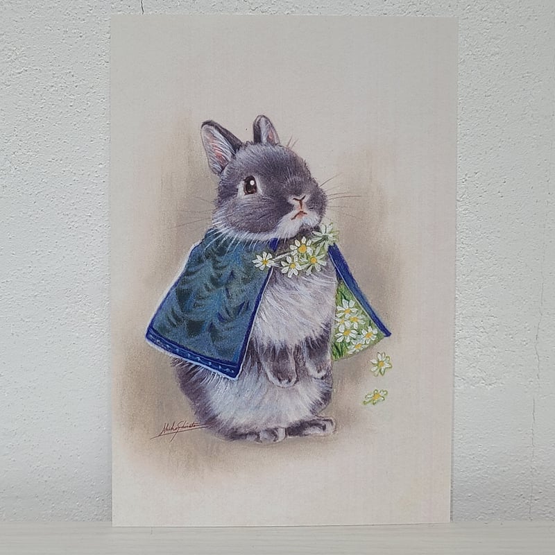 Rabbittuff_様 画像ご確認用 出品（カード） Rabbittuff_様 画像ご確認