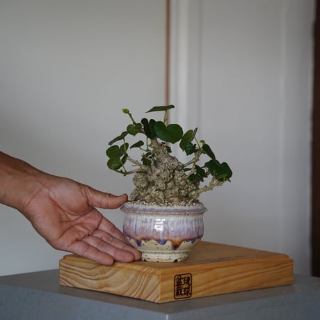 磯部祐介 | STORES