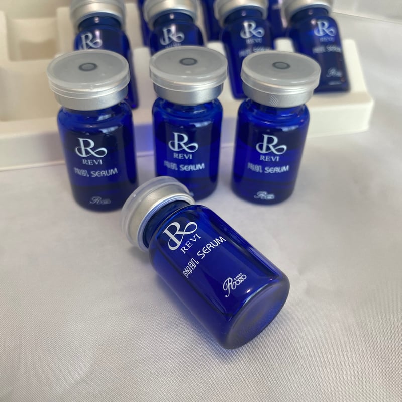 REVI ルヴィスプレーガン中古 陶肌セラ4本付き！ REVI ルヴィスプレー