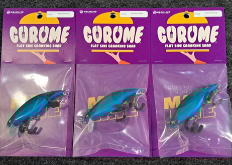 CATEGORY クルーズオリジナル | BOAT&TACKLEクルーズ