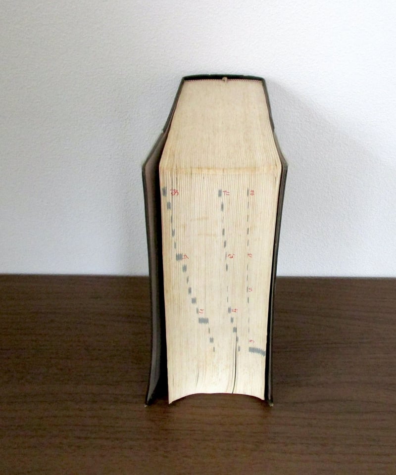 最新医学大辞典 | 書肆 奇縁堂