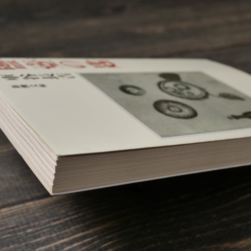 鹽壺の匙 車谷長吉 (新潮文庫） | 古書店うみつばめ