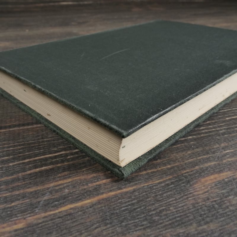 おもろ語辞書 沖縄の古辞書混効験集 外間守善 | 古書店うみつばめ