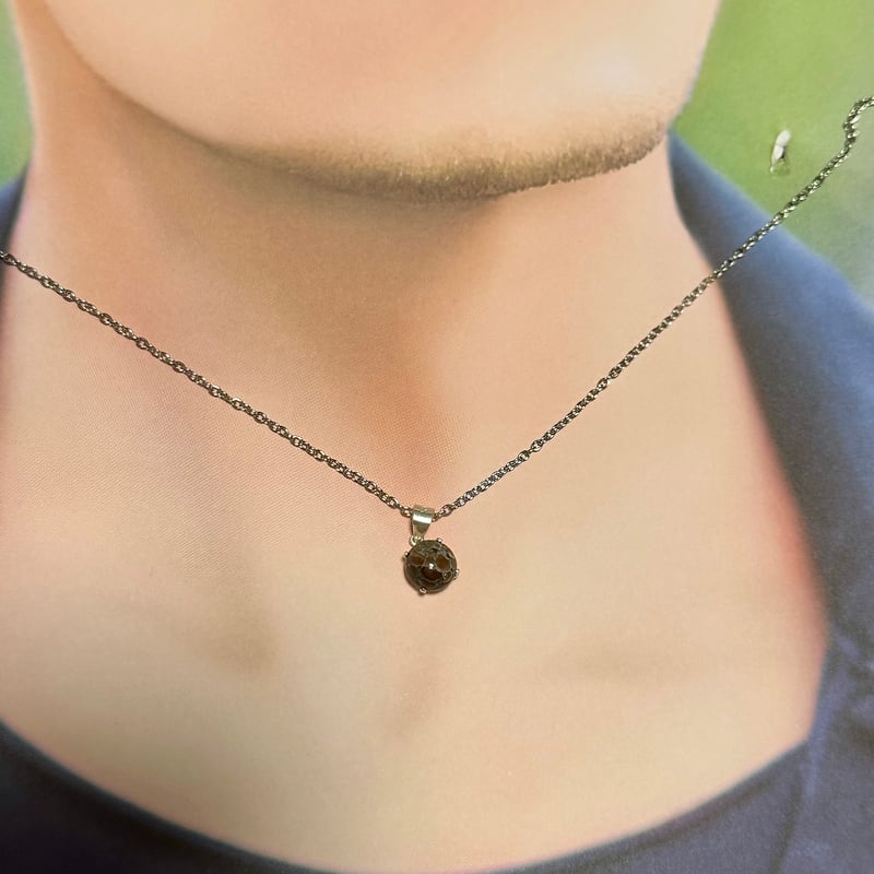 希少宝石】恐竜の骨「ダイナソーボーン」ネックレス | ジュエリー春日