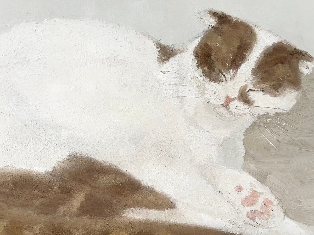 油絵 専用 一緒に眠くなる猫のきょうだい 油絵 専用 一緒に眠くなる猫