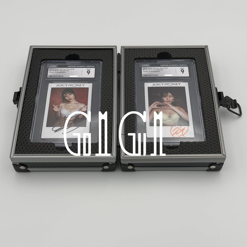 特価品「G1G1」PSA/CGC鑑定カードケース(2枚入り) シルバー/ブラック