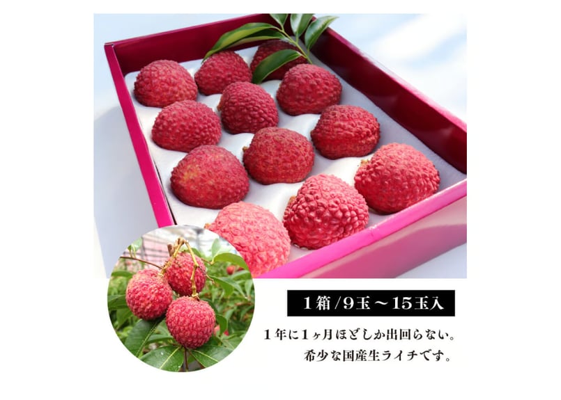 希少】綾町産生ライチ 500g 化粧箱 | JAみやざき 綾町オンライン