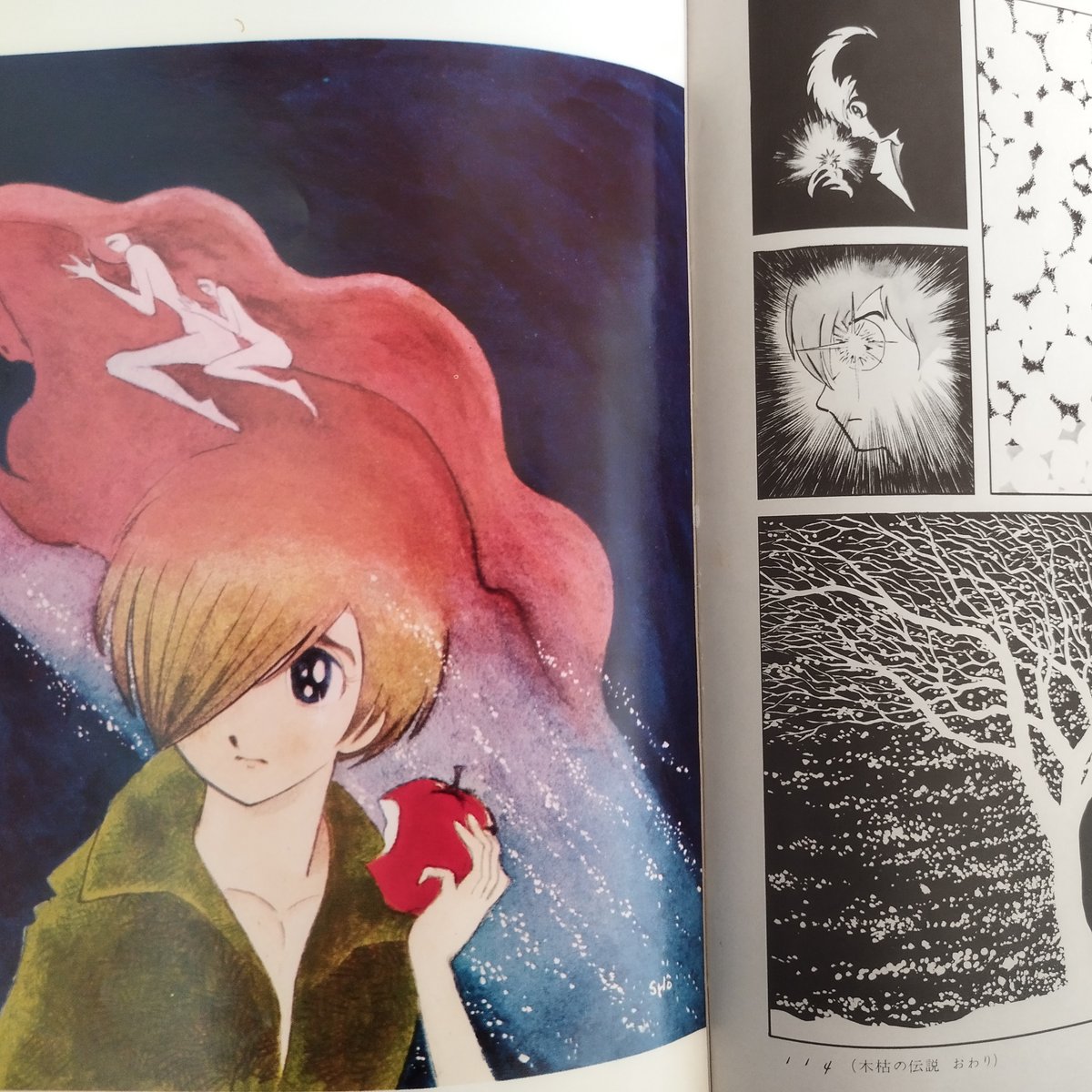 ジュン』 今むしろ新しく感じる石森章太郎・ジュンの世界！ | 古書