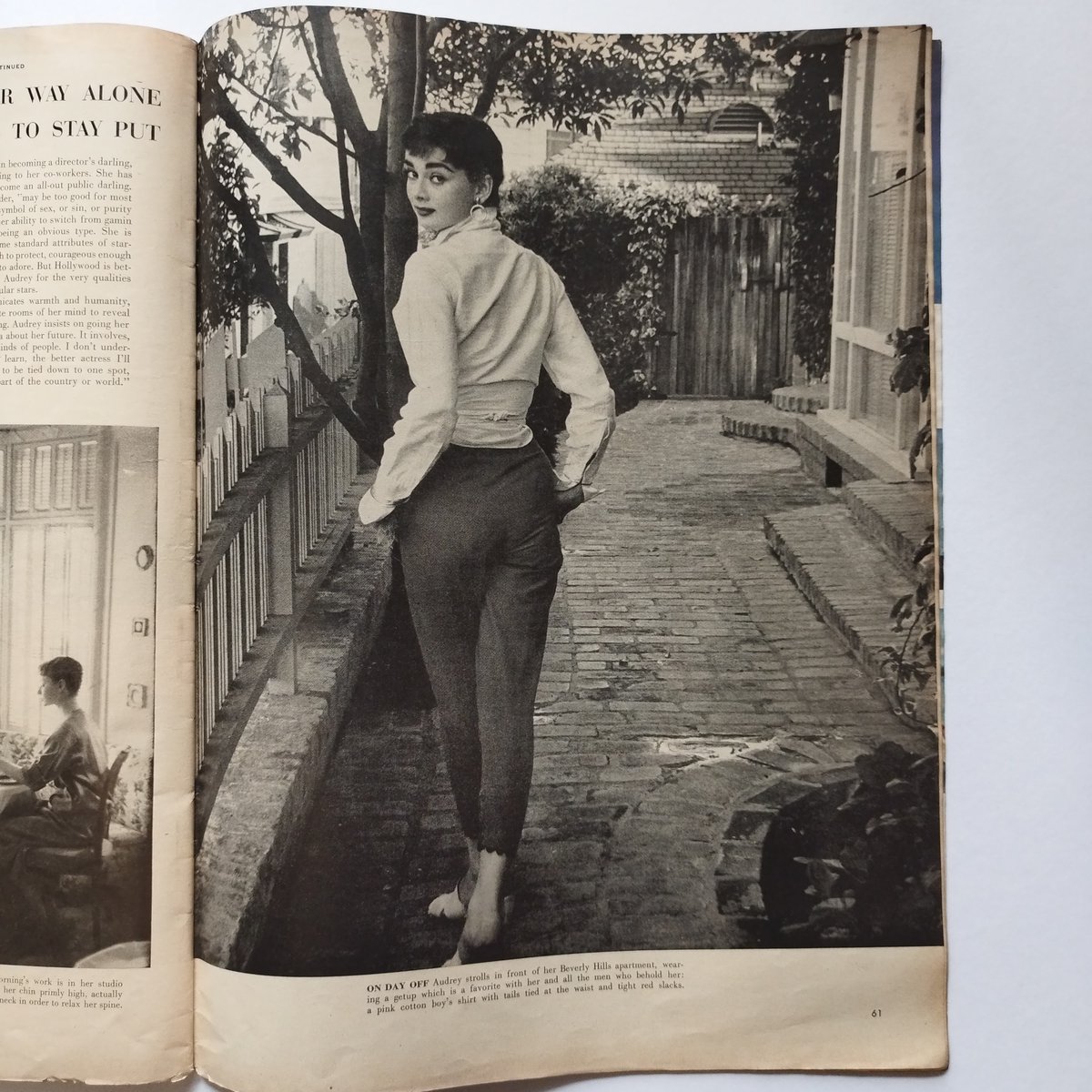 fit=scale-down,w=1200