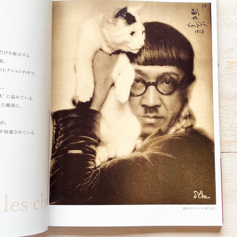 絵画 藤田嗣治 猫の本 サッフォー ダメージ無し 絵画 藤田嗣治 猫の本